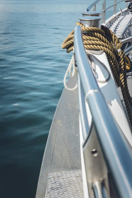 Southern.Boats Premium Domain
